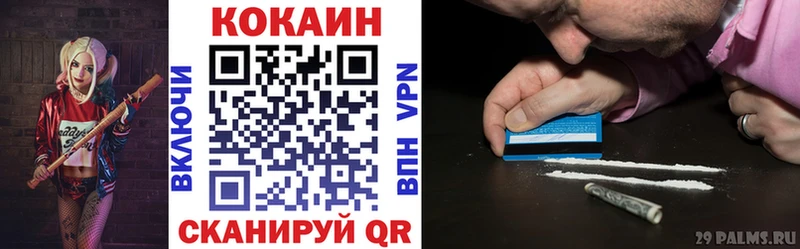 как найти закладки  MEGA ссылки  КОКАИН FishScale  Туринск 