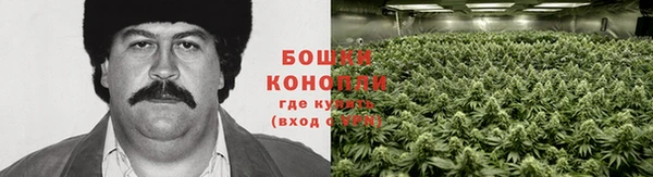 бошки Армянск