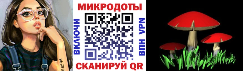 Галлюциногенные грибы Cubensis  Туринск 